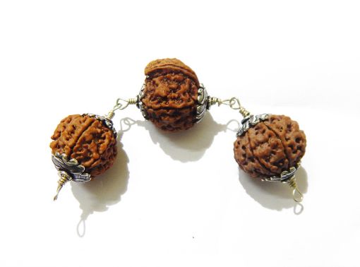 Laxmi Ganesh Rudraksha Shield