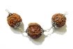 Shiv Privar Rudraksha Shield	