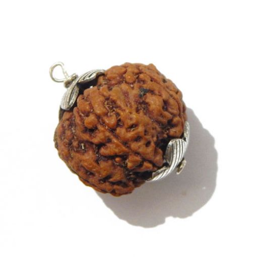 Six Mukhi Rudraksha Pendant