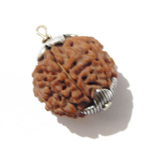 Six Mukhi Rudraksha Pendant