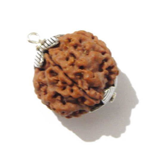 Six Mukhi Rudraksha Pendant