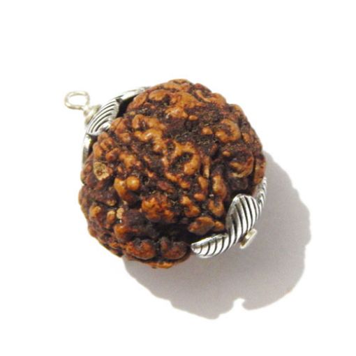 Six Mukhi Rudraksha Pendant